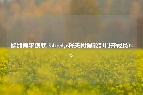 欧洲需求疲软 Solaredge将关闭储能部门并裁员12%-第1张图片-车辆报废_报废车厂_报废汽车回收_北京报废车-「北京报废汽车解体中心」