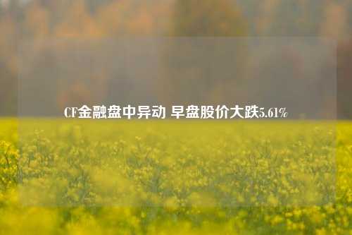 CF金融盘中异动 早盘股价大跌5.61%-第1张图片-车辆报废_报废车厂_报废汽车回收_北京报废车-「北京报废汽车解体中心」