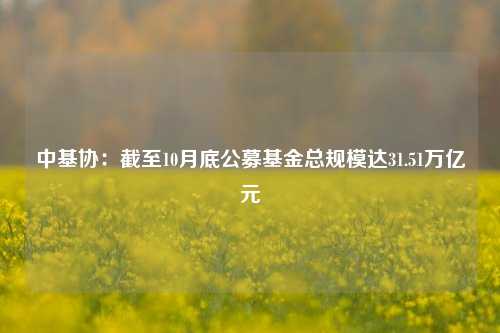 中基协：截至10月底公募基金总规模达31.51万亿元-第1张图片-车辆报废_报废车厂_报废汽车回收_北京报废车-「北京报废汽车解体中心」