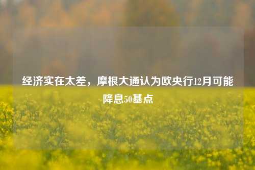 经济实在太差，摩根大通认为欧央行12月可能降息50基点-第1张图片-车辆报废_报废车厂_报废汽车回收_北京报废车-「北京报废汽车解体中心」