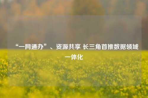 “一网通办”、资源共享 长三角首推数据领域一体化-第1张图片-车辆报废_报废车厂_报废汽车回收_北京报废车-「北京报废汽车解体中心」