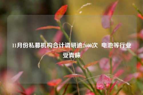 11月份私募机构合计调研逾2600次  电池等行业受青睐-第1张图片-车辆报废_报废车厂_报废汽车回收_北京报废车-「北京报废汽车解体中心」