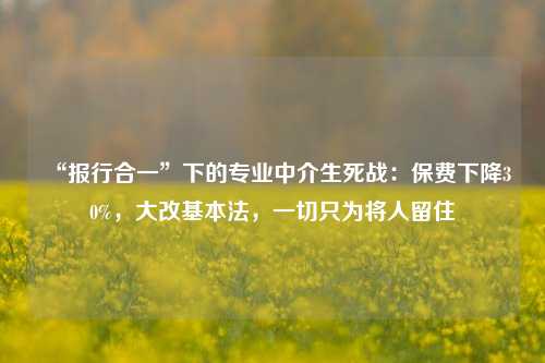 “报行合一”下的专业中介生死战：保费下降30%，大改基本法，一切只为将人留住-第1张图片-车辆报废_报废车厂_报废汽车回收_北京报废车-「北京报废汽车解体中心」