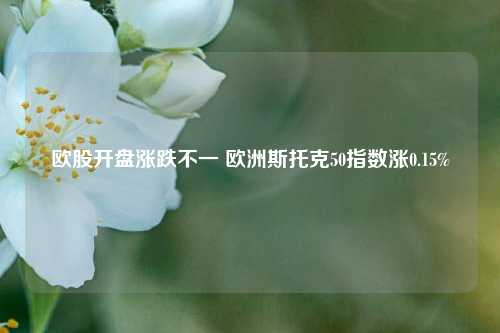 欧股开盘涨跌不一 欧洲斯托克50指数涨0.15%-第1张图片-车辆报废_报废车厂_报废汽车回收_北京报废车-「北京报废汽车解体中心」