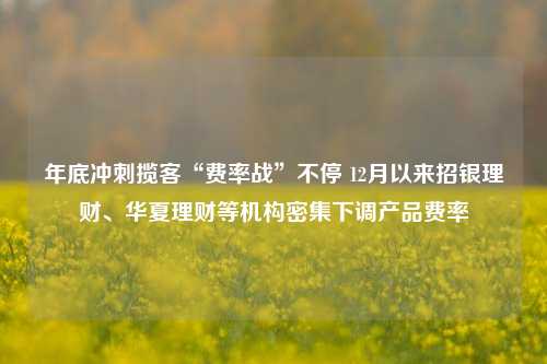 年底冲刺揽客“费率战”不停 12月以来招银理财、华夏理财等机构密集下调产品费率-第1张图片-车辆报废_报废车厂_报废汽车回收_北京报废车-「北京报废汽车解体中心」