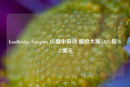 Landbridge Company Llc盘中异动 股价大涨5.02%报76.47美元-第1张图片-车辆报废_报废车厂_报废汽车回收_北京报废车-「北京报废汽车解体中心」