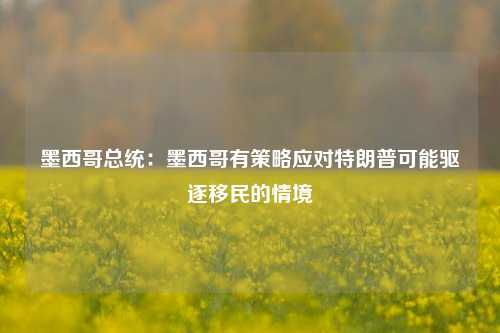 墨西哥总统：墨西哥有策略应对特朗普可能驱逐移民的情境-第1张图片-车辆报废_报废车厂_报废汽车回收_北京报废车-「北京报废汽车解体中心」