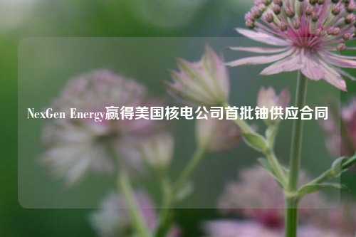 NexGen Energy赢得美国核电公司首批铀供应合同-第1张图片-车辆报废_报废车厂_报废汽车回收_北京报废车-「北京报废汽车解体中心」