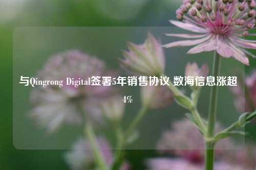 与Qingrong Digital签署5年销售协议 数海信息涨超4%-第1张图片-车辆报废_报废车厂_报废汽车回收_北京报废车-「北京报废汽车解体中心」